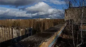 Resiliente, la naturaleza de Chern&oacute;bil