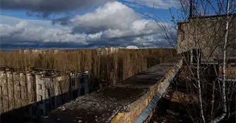 Resiliente, la naturaleza de Chern&oacute;bil