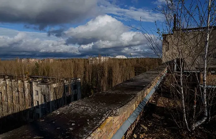 Resiliente, la naturaleza de Chern&oacute;bil