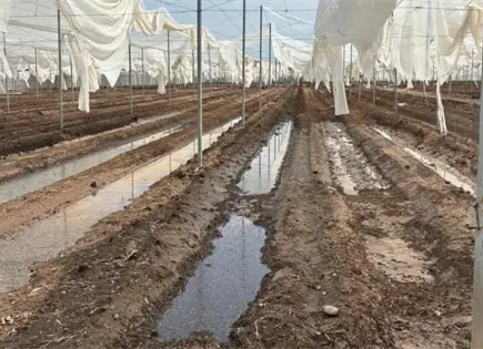 Tromba afecta cultivos y viviendas en la capital y Villa de Arista (fotos)