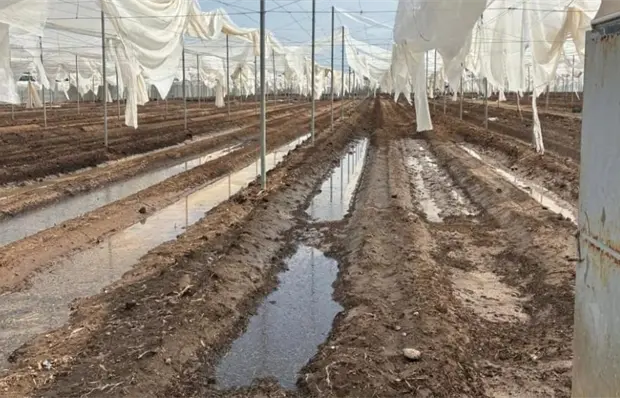 Tromba afecta cultivos y viviendas en la capital y Villa de Arista (fotos)