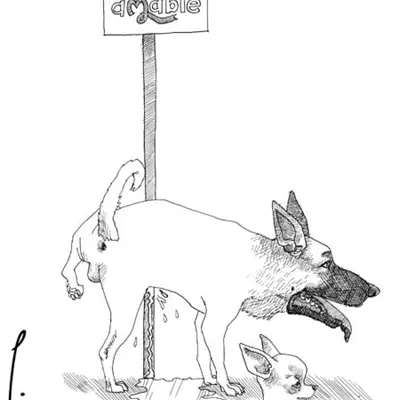 animales territoriales...