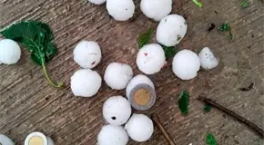 Tormenta y granizada dejan a oscuras a Cedral