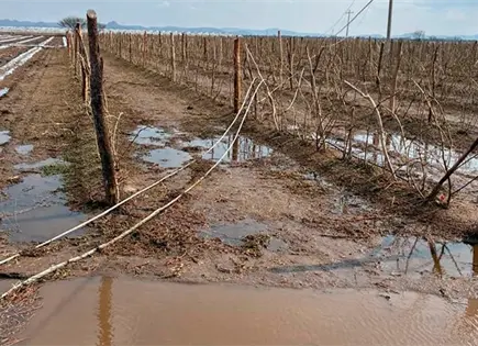 Tromba da&ntilde;a 1,500 hect&aacute;reas de sembrad&iacute;os