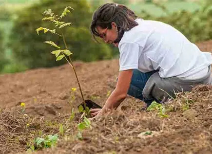 Arranca Jornada Nacional de Reforestaci&oacute;n