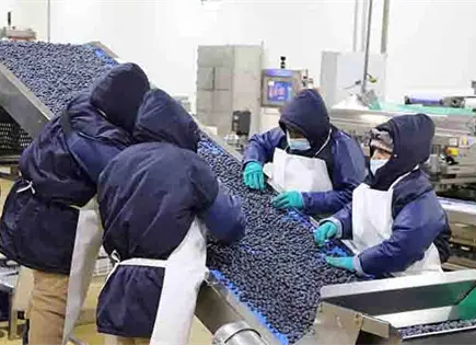 Crisis inflacionaria a&uacute;n va para adelante