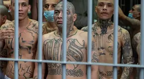 Procesan a 468 cabecillas de la Mara Salvatrucha