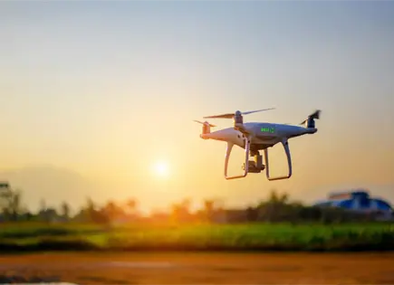 Estrategias de modernizaci&oacute;n: Tecnolog&iacute;a y gesti&oacute;n de la seguridad en M&eacute;xico