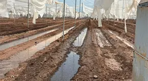 Fuertes lluvias da&ntilde;aron dos puentes, dice la JEC