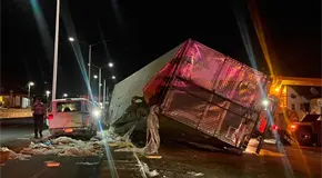 Rapi&ntilde;a de pollos al volcar un tr&aacute;iler en la r&uacute;a a Zacatecas
