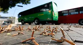 Baja levemente la percepci&oacute;n de inseguridad