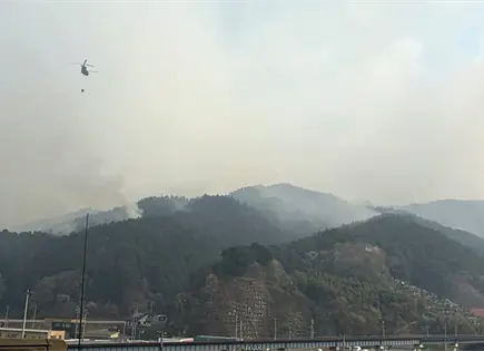 Avanza incendio forestal en Jap&oacute;n