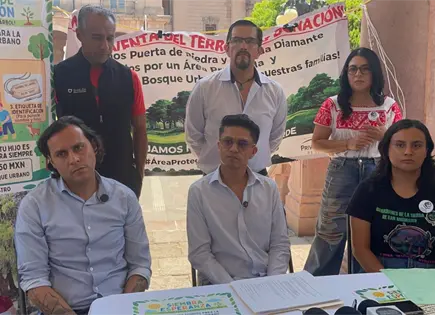 Amparo sobre Puerta de Piedra alcanzar&iacute;a a otros terrenos en subasta