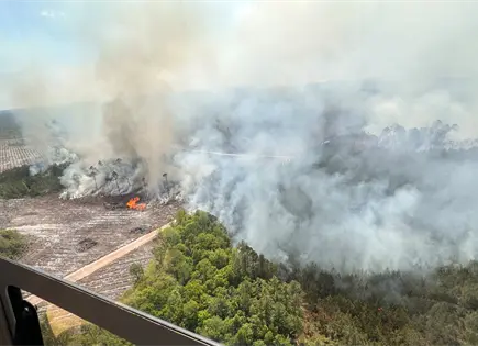 Lluvias frenan dos incendios forestales en Georgia y ayudan a contener da&ntilde;os