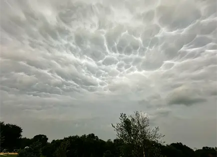 Tormentas severas dejan un muerto y da&ntilde;os en Michigan y Missouri