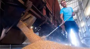 Acusa Ucrania a Israel de importar grano "robado"