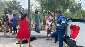 Muere can sometido tras morder a dos ni&ntilde;os