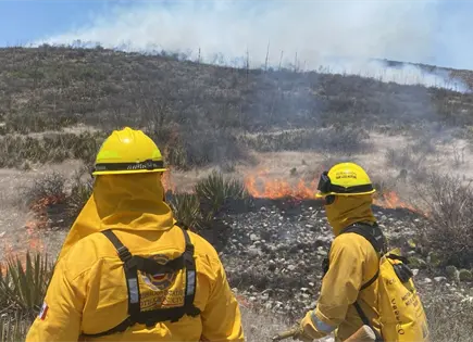 Combaten incendio forestal activo en Matehuala
