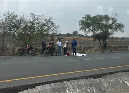Jornalero muere atropellado en Tamu&iacute;n