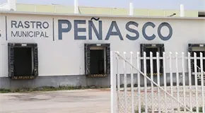 Se dispara sacrificio de cerdos