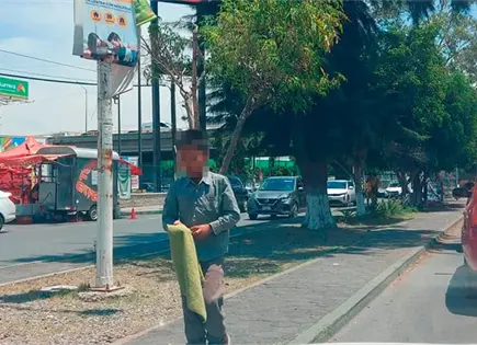 Menores celebran "su d&iacute;a" trabajando