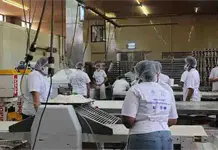 Reporta STPS recuperaci&oacute;n de empleos en SLP