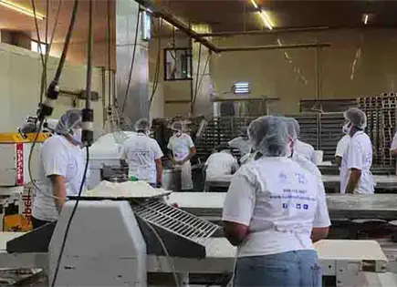 Suman 22.7 millones trabajadores asegurados en el IMSS