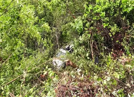 Camioneta con tres personas se va a un barranco en Xilitla