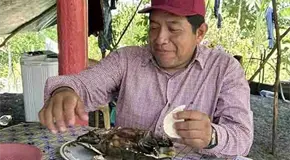 L&iacute;der morenista come una tortuga protegida