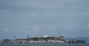 Coyote nada hasta isla Alcatraz y sorprende a bi&oacute;logos