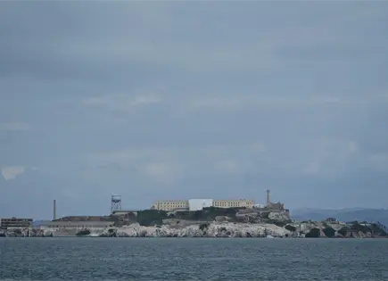 Coyote nada hasta isla Alcatraz y sorprende a bi&oacute;logos