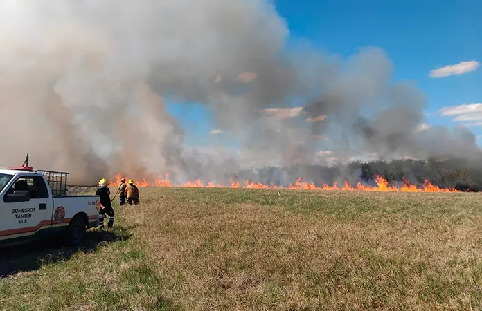 Incendio devasta predio Fibracel