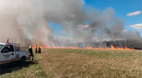 Incendio devasta predio Fibracel