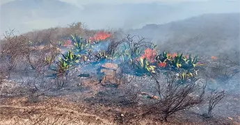 Otro incendio en Presa los Nopales