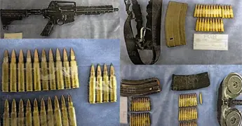 Procesan a mujer por transporte de armas