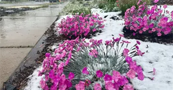 Tormenta de nieve en Denver: alerta por posible mayor nevada tard&iacute;a