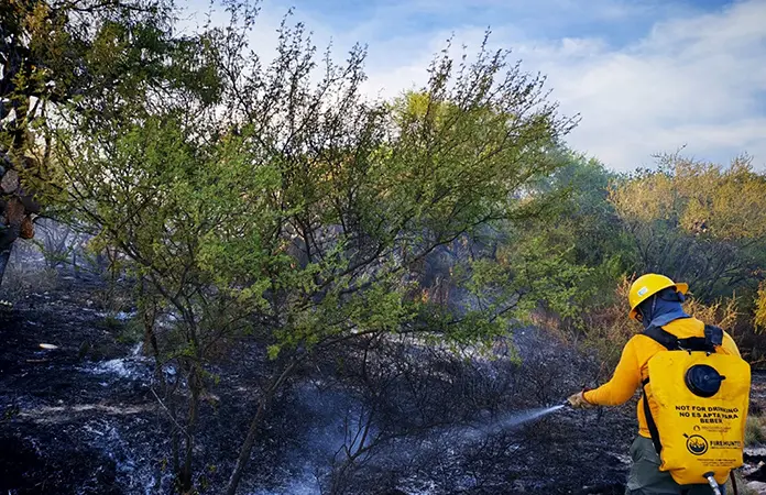 Bomberos y Conafor controlan incendio