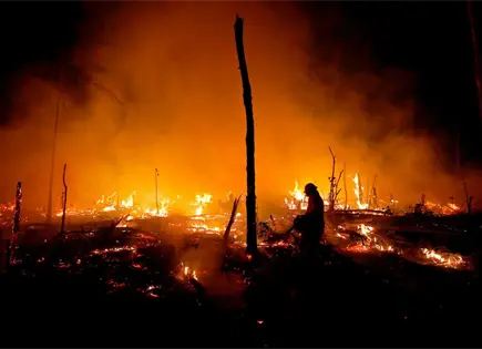 Brasil alerta sobre degradaci&oacute;n forestal en la Amazon&iacute;a pese a avances