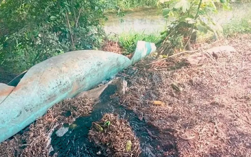 Denuncian contaminación de Ingenio al río Gallinas