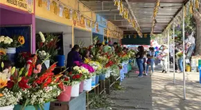 Inician visitas a panteones por Día de las Madres; hay operativos viales