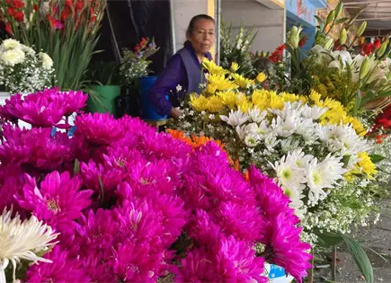 Feliz d&iacute;a de las madres