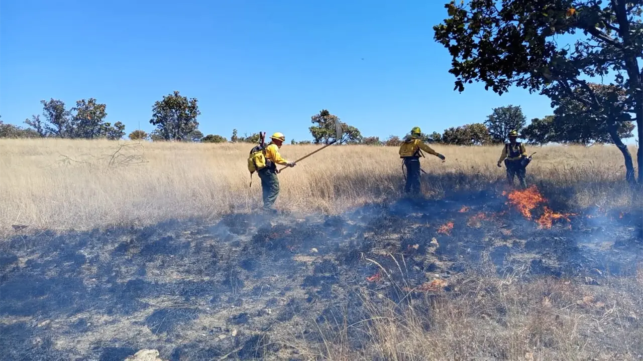 Monitorean incendios y quemas en municipios de SLP