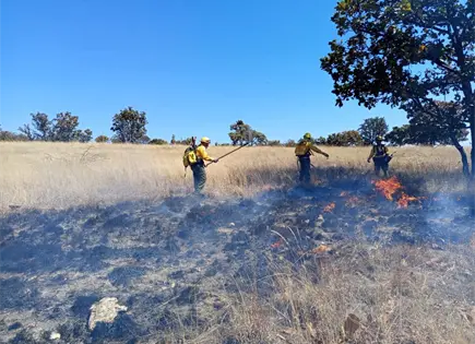 Monitorean incendios y quemas en municipios de SLP Monitorean incendios y quemas en municipios de SLP