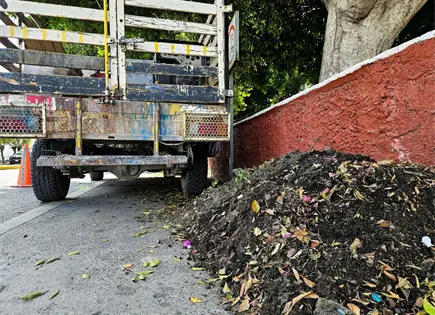 Basura en calles eleva riesgo de inundaciones, advierte Protección Civil Basura en calles eleva riesgo de inundaciones, advierte Protección Civil