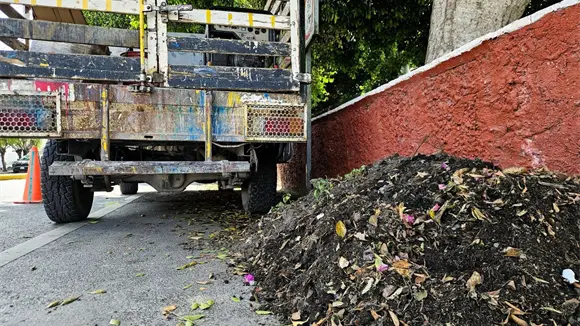 Basura en calles eleva riesgo de inundaciones, advierte Protecci&oacute;n Civil