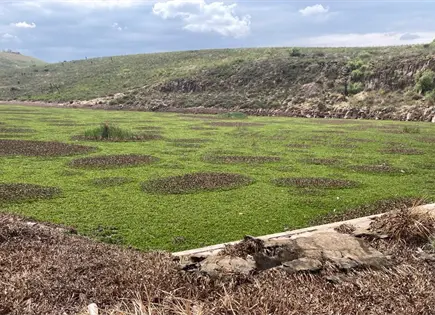Espera EGC anuncio oficial para saneamiento de presa San Jos&eacute;