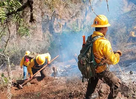 Brigada Red Fox sofoca incendio