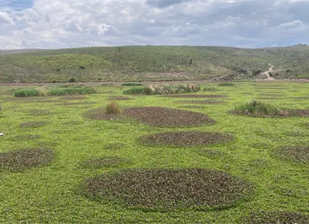 La CEA, sin claridad sobre proyecto en presa San Jos&eacute;