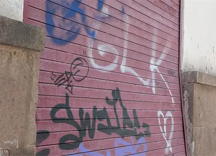 Afectados por grafiti, 75 puntos de zona centro