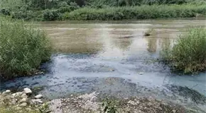 Aguas negras contaminan el río Valles